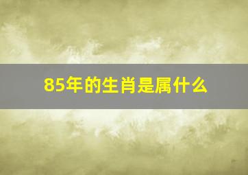 85年的生肖是属什么