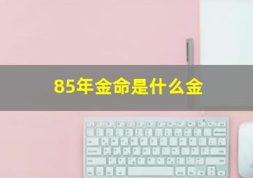 85年金命是什么金