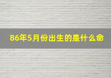 86年5月份出生的是什么命