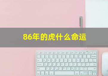 86年的虎什么命运