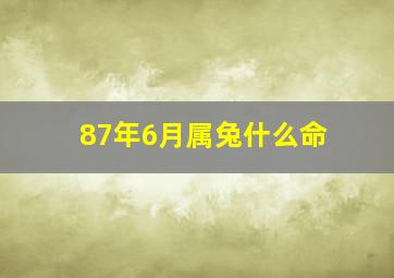 87年6月属兔什么命