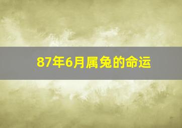 87年6月属兔的命运