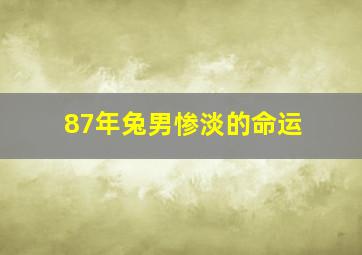 87年兔男惨淡的命运