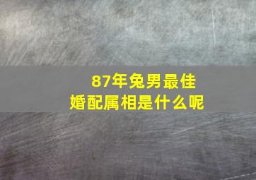 87年兔男最佳婚配属相是什么呢