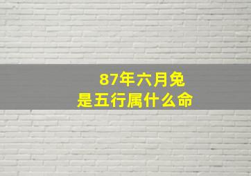 87年六月兔是五行属什么命