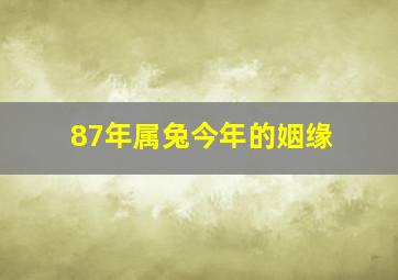 87年属兔今年的姻缘