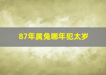 87年属兔哪年犯太岁