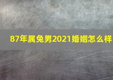 87年属兔男2021婚姻怎么样