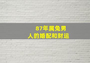 87年属兔男人的婚配和财运