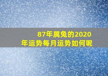 87年属兔的2020年运势每月运势如何呢