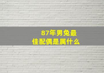 87年男兔最佳配偶是属什么