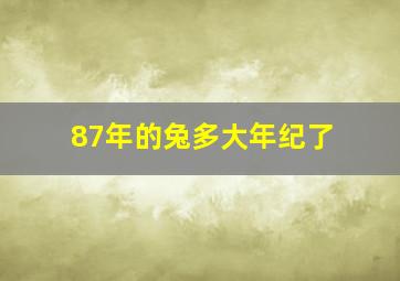 87年的兔多大年纪了