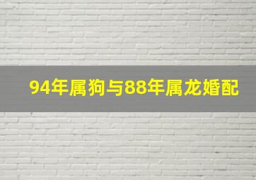 94年属狗与88年属龙婚配