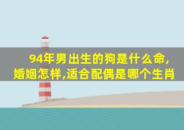 94年男出生的狗是什么命,婚姻怎样,适合配偶是哪个生肖