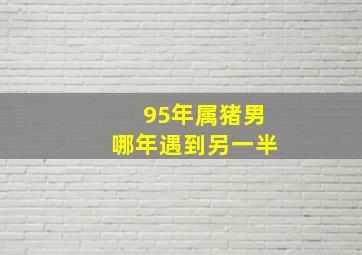 95年属猪男哪年遇到另一半