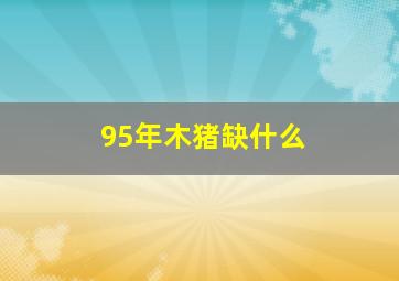 95年木猪缺什么