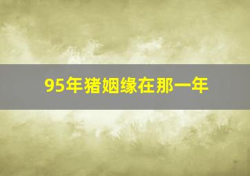 95年猪姻缘在那一年