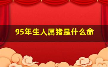 95年生人属猪是什么命