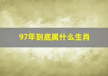 97年到底属什么生肖