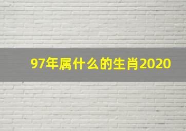 97年属什么的生肖2020