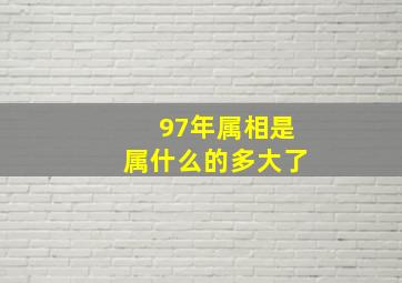 97年属相是属什么的多大了