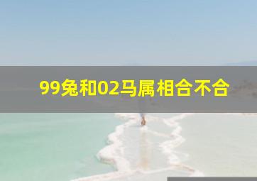 99兔和02马属相合不合