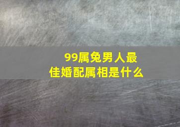 99属兔男人最佳婚配属相是什么