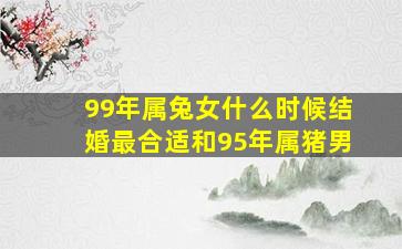 99年属兔女什么时候结婚最合适和95年属猪男