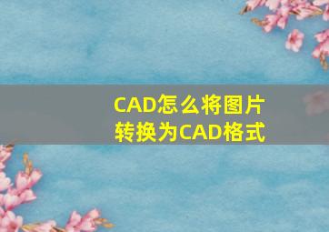 CAD怎么将图片转换为CAD格式