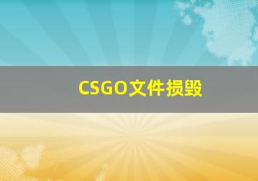 CSGO文件损毁