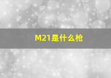 M21是什么枪