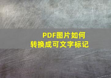 PDF图片如何转换成可文字标记