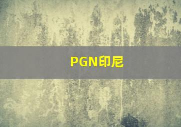 PGN印尼