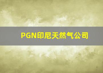 PGN印尼天然气公司