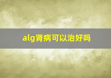 alg肾病可以治好吗