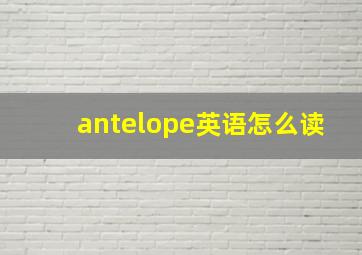 antelope英语怎么读