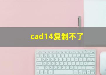 cad14复制不了