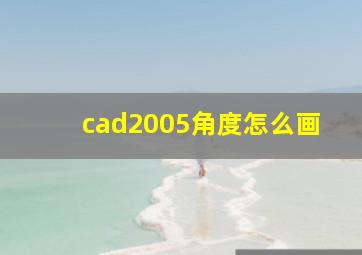 cad2005角度怎么画