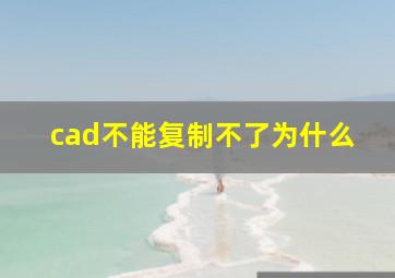 cad不能复制不了为什么