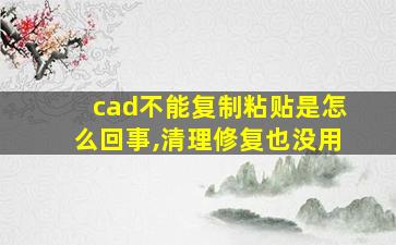 cad不能复制粘贴是怎么回事,清理修复也没用