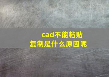 cad不能粘贴复制是什么原因呢