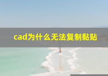 cad为什么无法复制黏贴