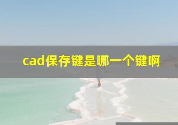 cad保存键是哪一个键啊