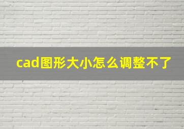 cad图形大小怎么调整不了