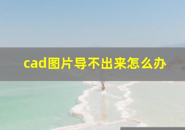 cad图片导不出来怎么办