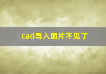 cad导入图片不见了