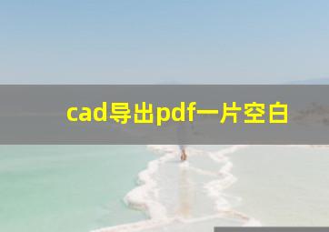 cad导出pdf一片空白