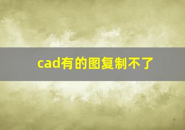 cad有的图复制不了