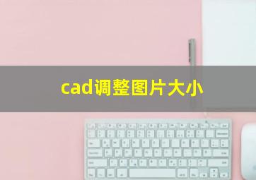 cad调整图片大小