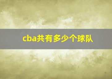 cba共有多少个球队